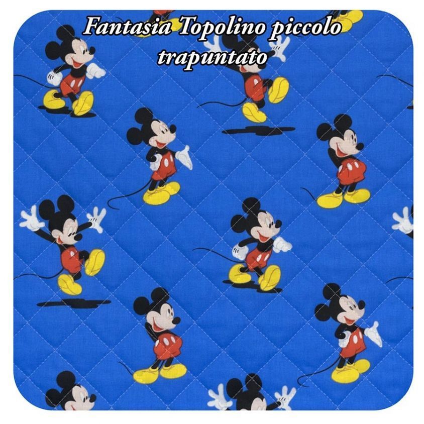 fantasia Topolino piccolo trapuntato